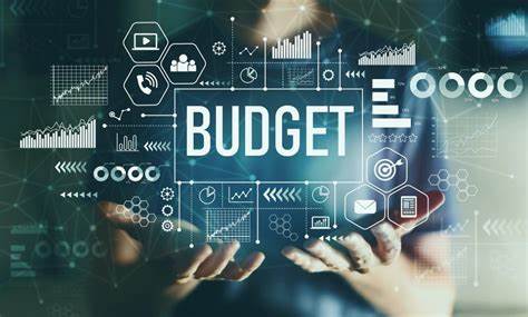 Federal Budget 2024-25: Tax Implications
